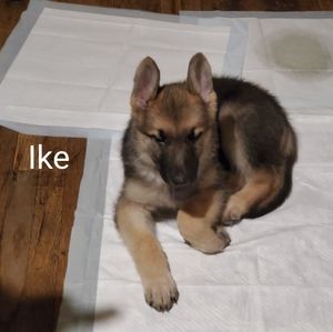 Meet your Posher, Tonia